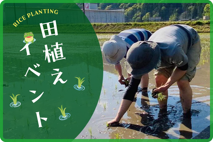 田植えイベント2025